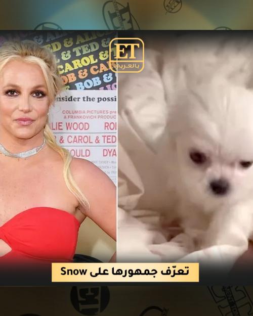 كلاب بريتني سبيرز