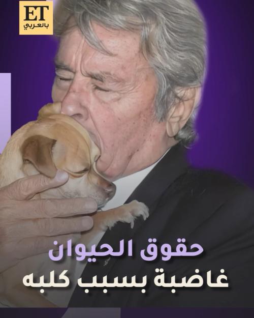 حقوق الحيوان غاضبة