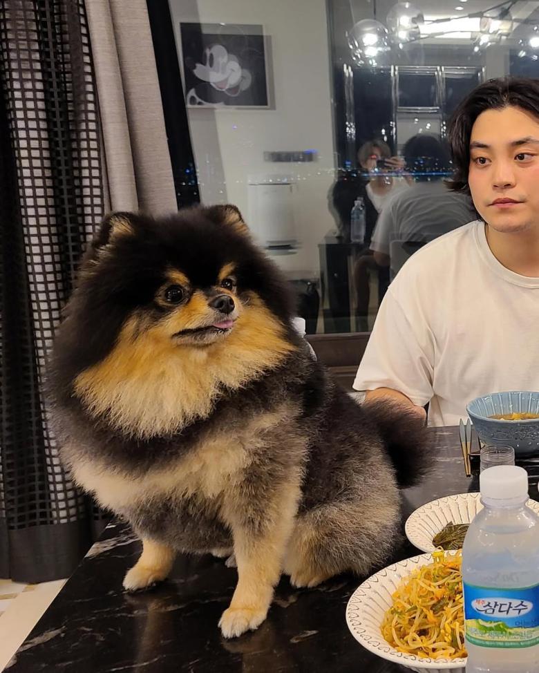 تايهيونغ من فرقة BTS مع كلبه الراحل يونتان - صورة من انستقرام