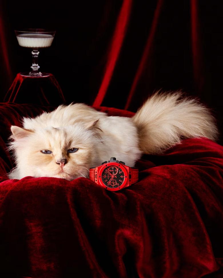 Choupette: من قطة مدللة إلى نجمة عالم الساعات مع هوبلو 