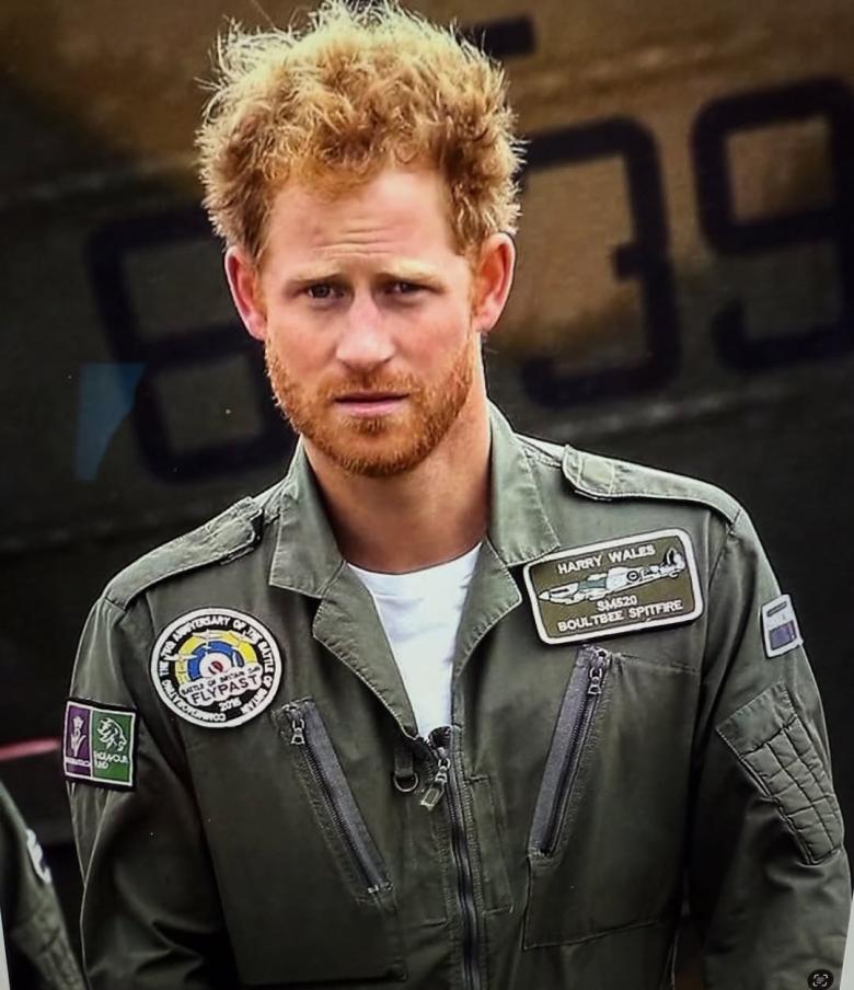 الأمير هاري - مصدر من انستغرام Meghan 