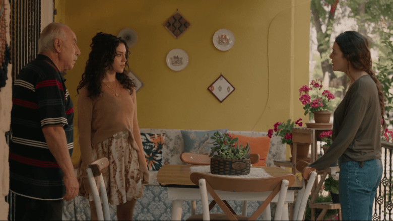 مسلسل سلمى الحلقة 28 - مسلسل امرأة التركي - مصدر الصورة شاهد