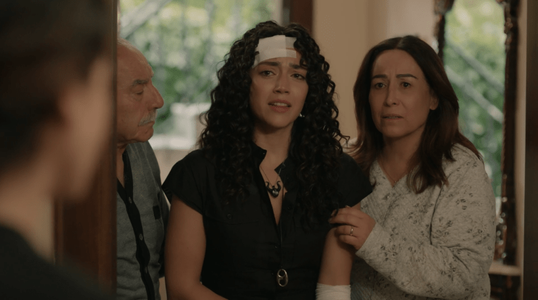 مسلسل سلمى الحلقة 33 - مسلسل امرأة التركي - مصدر الصورة شاهد