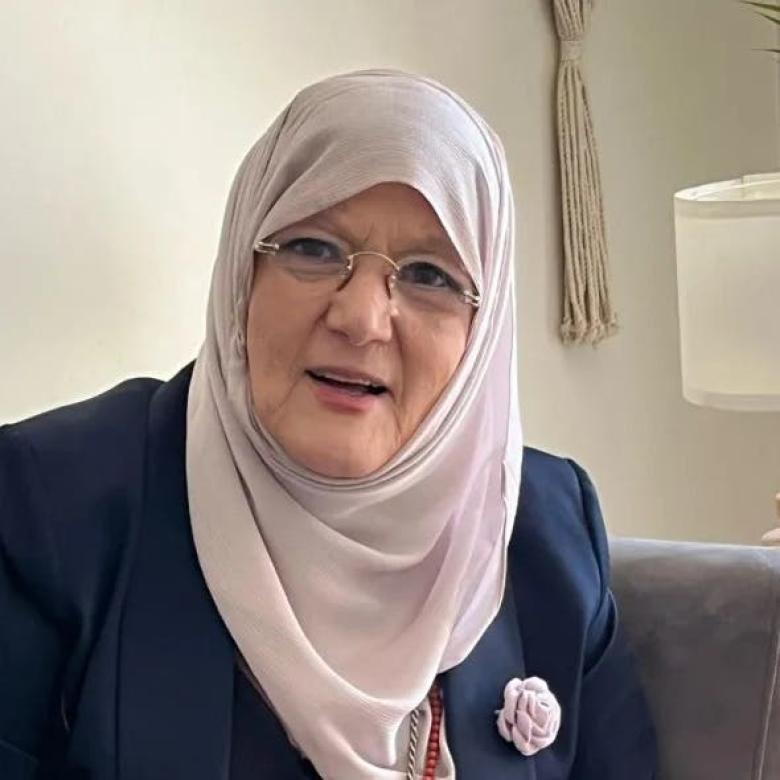 شمس البارودي 