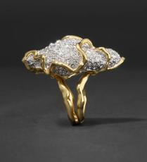 خاتم من Alexis Bitar