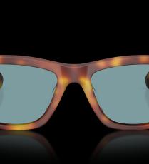 نظارات Oliver Peoples x Alex Israel