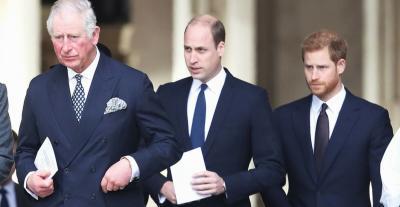 الأمير هاري والأمير ويليام  و الملك تشارلز - صورة من غوغل