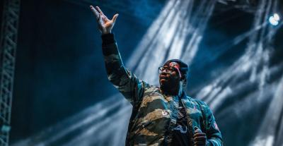 فليبراتشي Flipperachi 