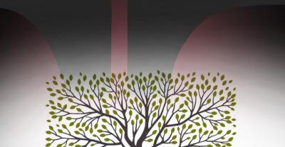 كيف تحولت استوديوهات أوليفوود لاستقبال ذا فويس