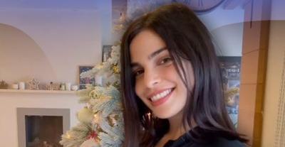 ريتا حايك حامل