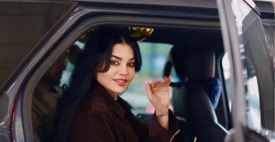 هيفاء وهبي - صورة معدلة من السوشيال ميديت
