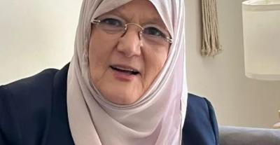 شمس البارودي 