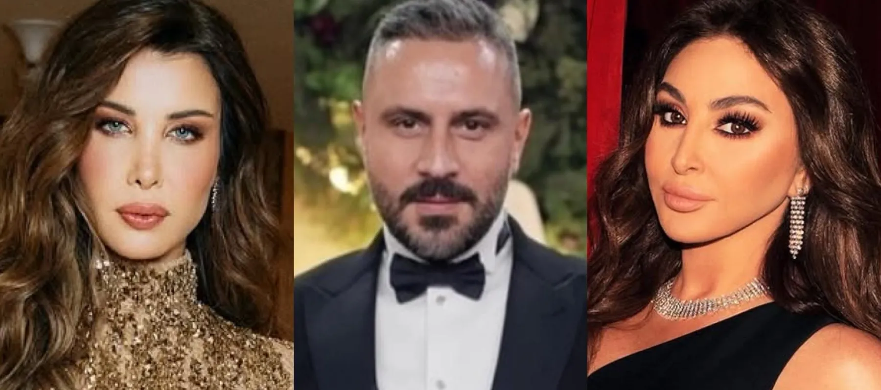 إليسا وقيس الشيخ نجيب ونانسي عجرم