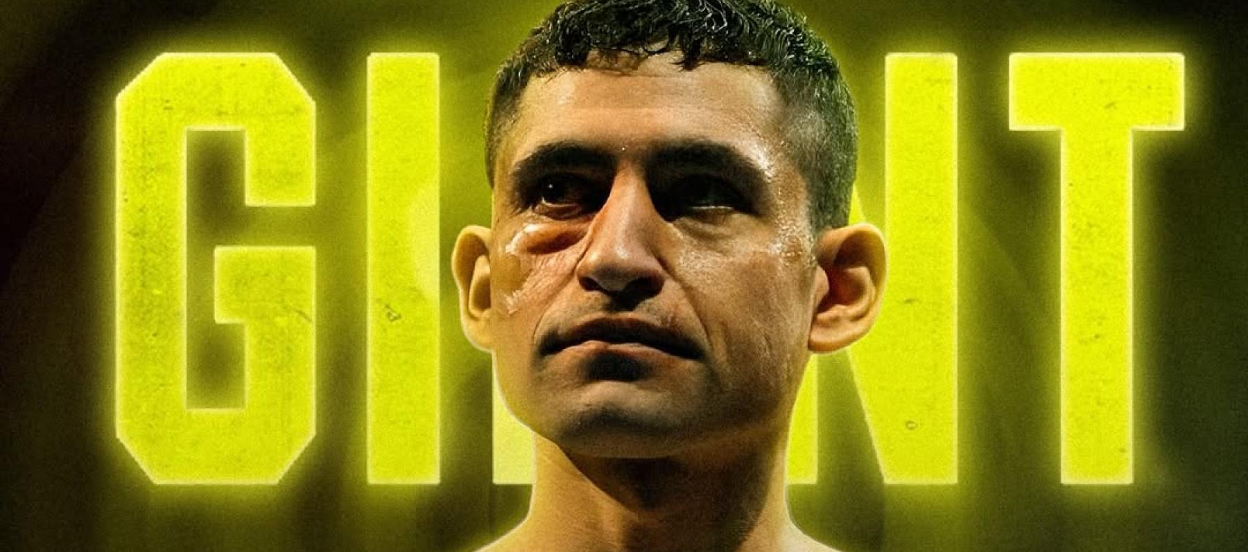 أمير المصري