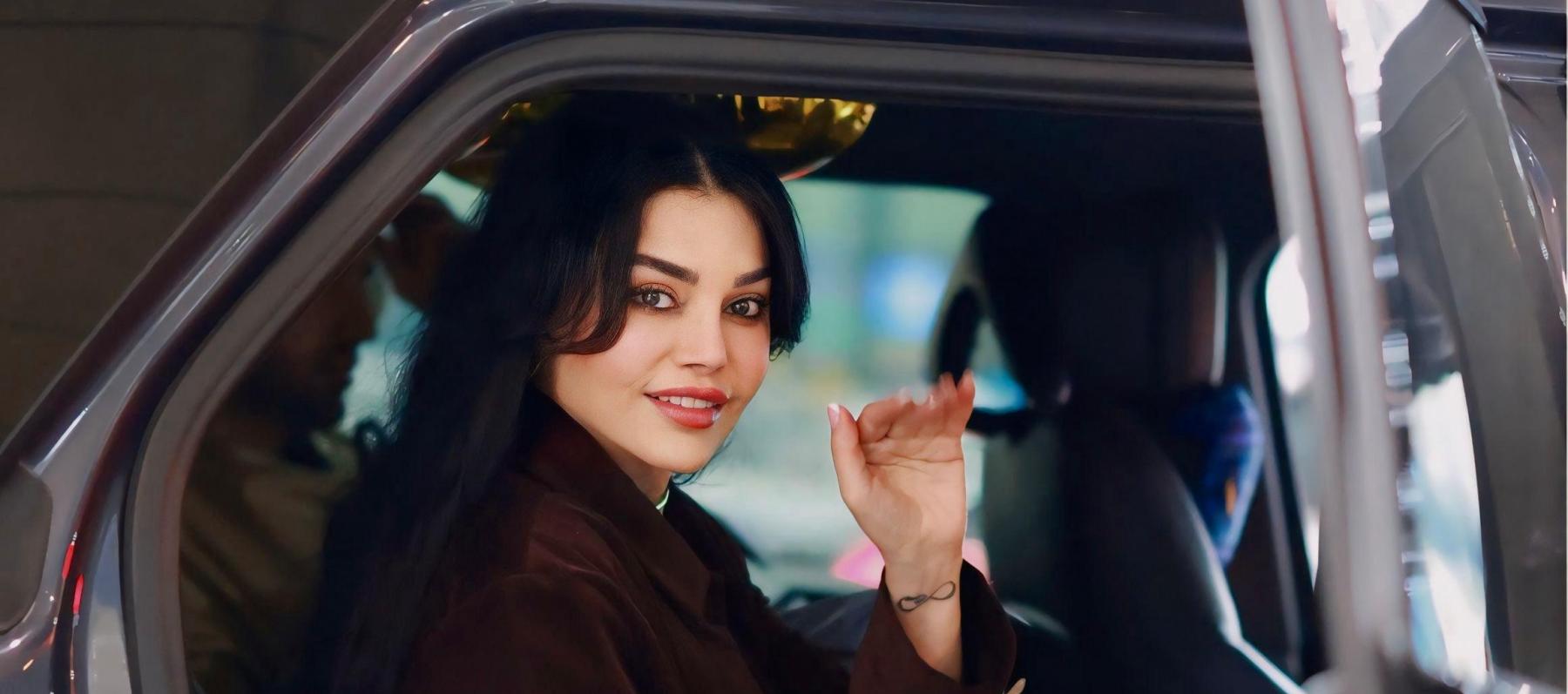 هيفاء وهبي - صورة معدلة من السوشيال ميديت