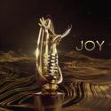 تروفي جائزة Joy Awards - صورة من السوشيال ميديا