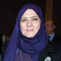 شمس البارودي