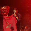محمد حماقي