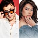 شيرين عبد الوهاب وتامر حسين