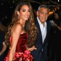 جورج كلوني George Clooney - أمل كلوني Amal Clooney