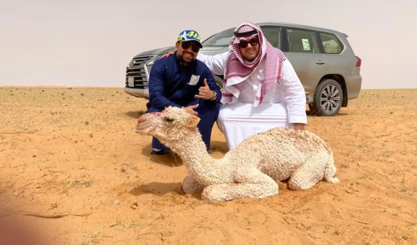 عمر وصفوان ومغامرة شيقة في الـ Camel quest
