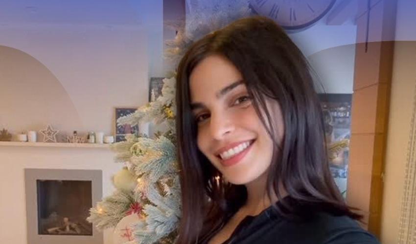 ريتا حايك حامل