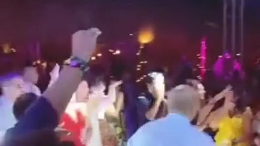 زفاف عمرو سلامة