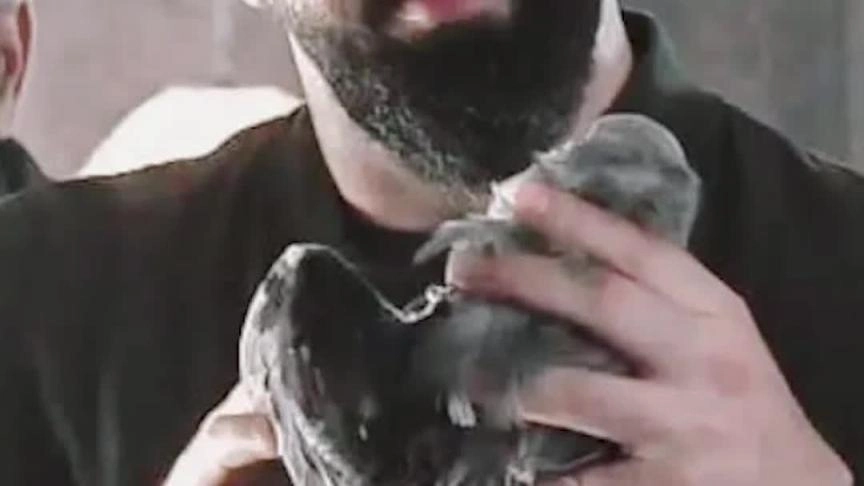 انطلاق تصوير مسلسل مولانا في بيروت