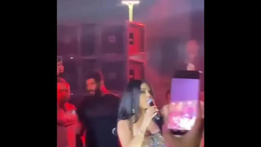 هيفاء وهبي خلال حفلها في الساحل الشمالي