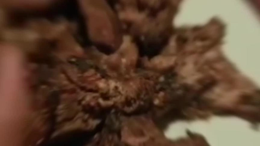 مراد مكرم يحصد نتيجة أفعال وليد