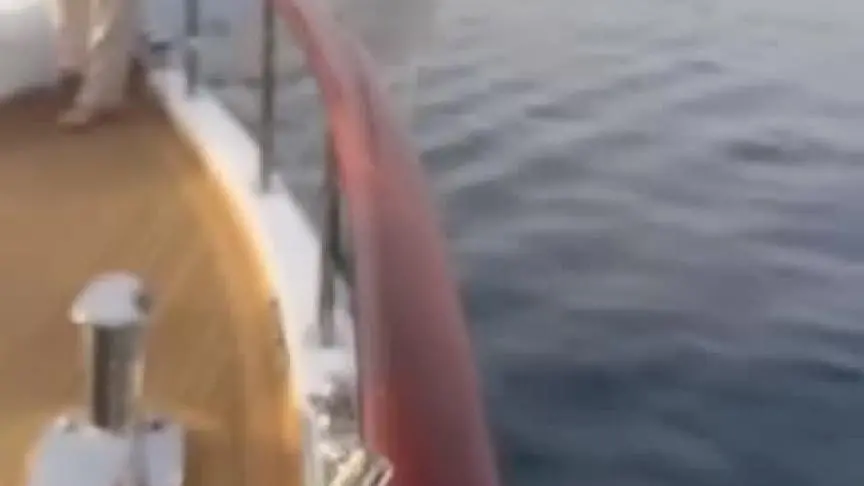 بوراك دينيز مع مشاهير تركيا في بودروم 