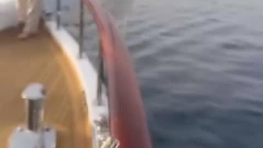 بوراك دينيز مع مشاهير تركيا في بودروم 