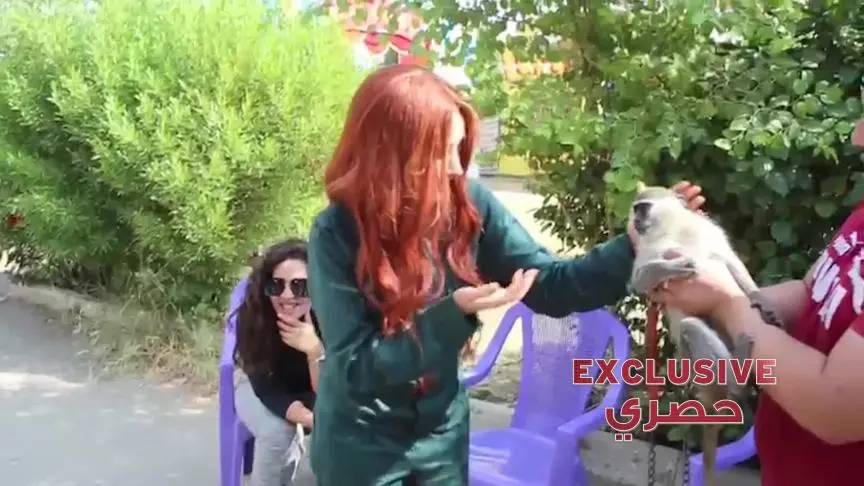 هنا الزاهد