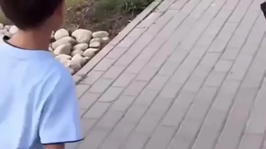 WhatsApp Video 2023-08-28 at 7.14.11 PM