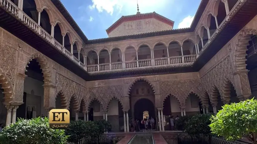 ما علاقة أحلام بمجموعة إيليو أبو فيصل الجديدة ؟