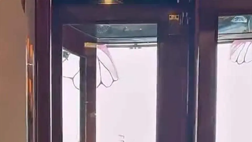 ملكة كابلي تحتفل بعيد ميلادها