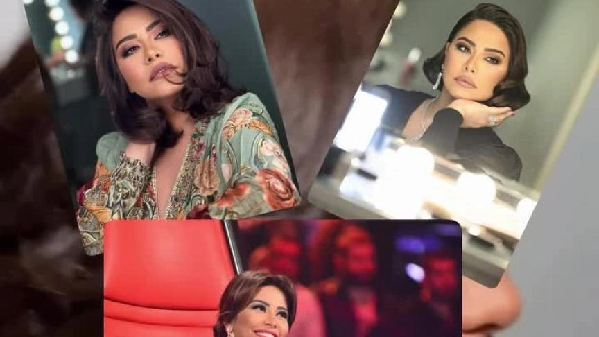 فيديو من طوني المندلق لشيرين