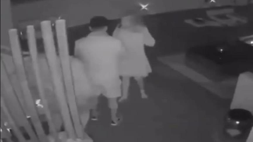 Vid