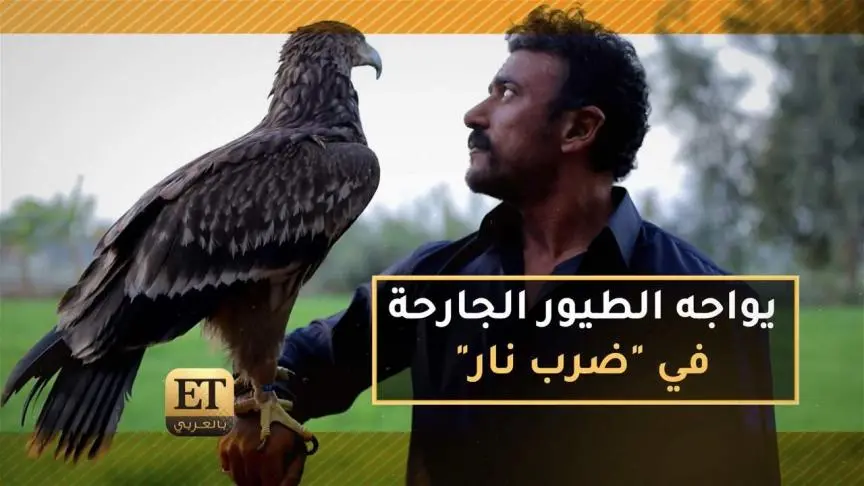 أحمد العوضي يواجه الطيور الجارحة في "ضرب نار"