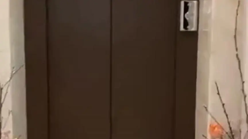 عيد الحب