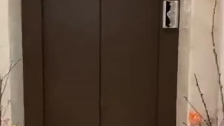 عيد الحب
