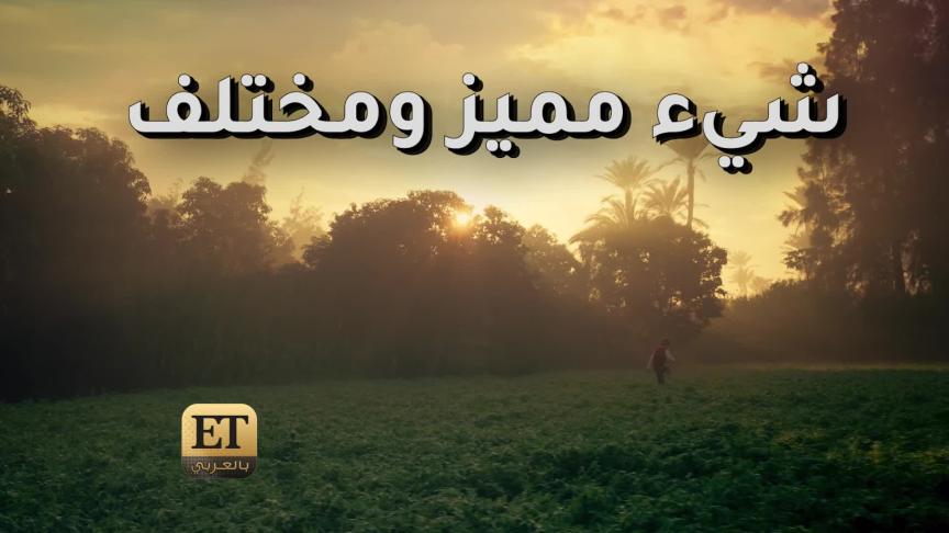 11 شهر لتنفيذ موسيقى ما وراء الطبيعة 