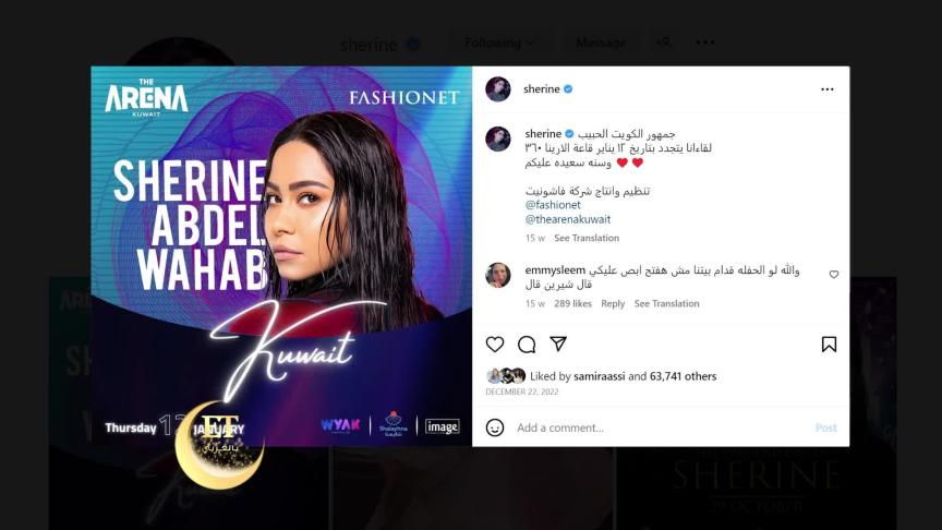 هل تخسر شيرين عبدالوهاب السيطرة على حساباتها؟