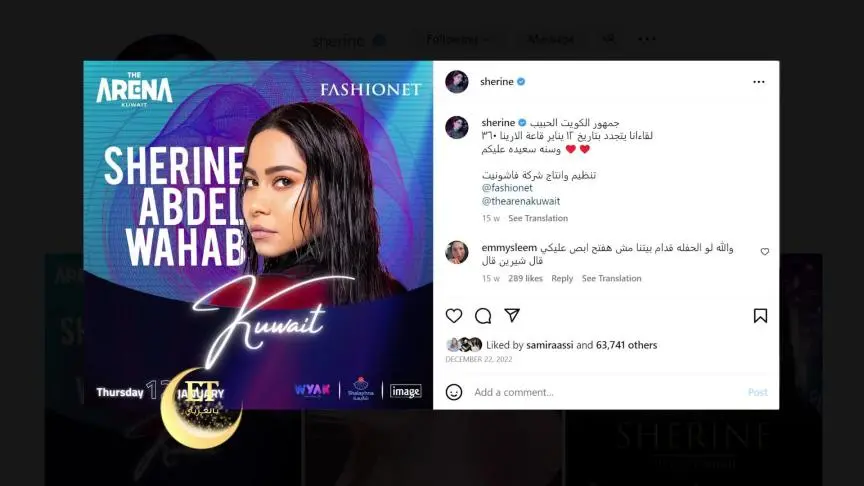 هل تخسر شيرين عبدالوهاب السيطرة على حساباتها؟