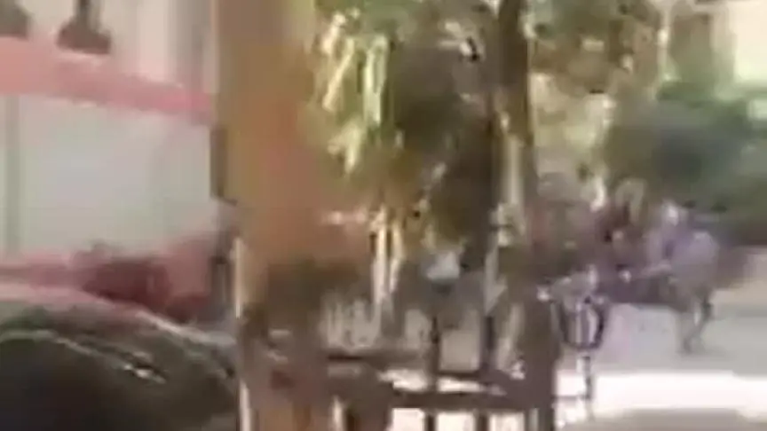 نيكولا جبران حريق دار الأزياء