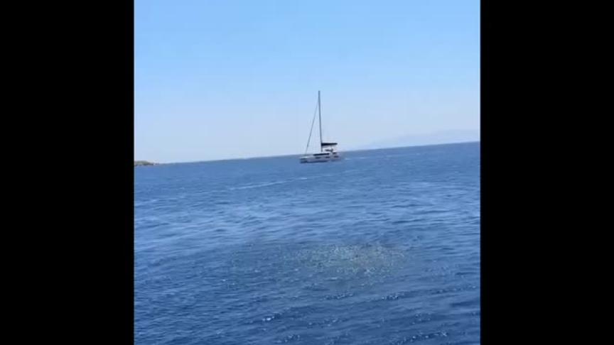 WhatsApp Video 2023-07-24 at 6.53.38 PM
