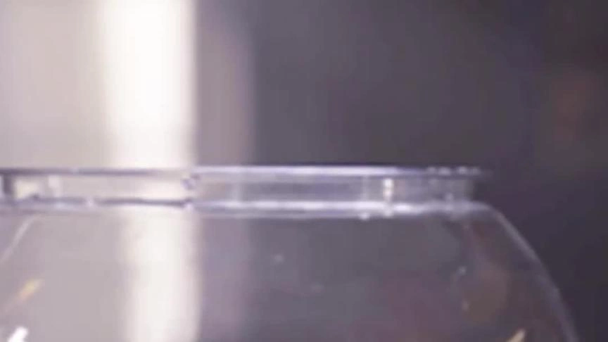 ماذا تخبئ الحياة الزوجية لعبدالله؟ 