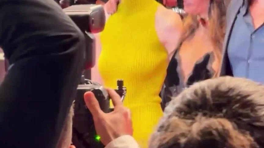 Cannes film festuval vin diesl