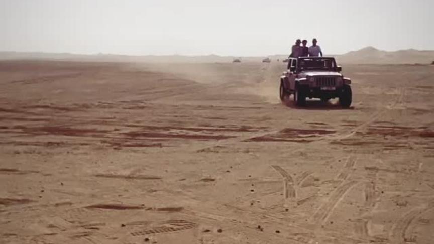 هاندة هارتشل من صحراء دبي