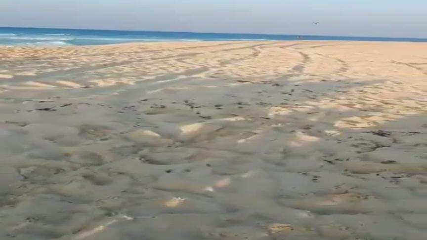 عمرو دياب
